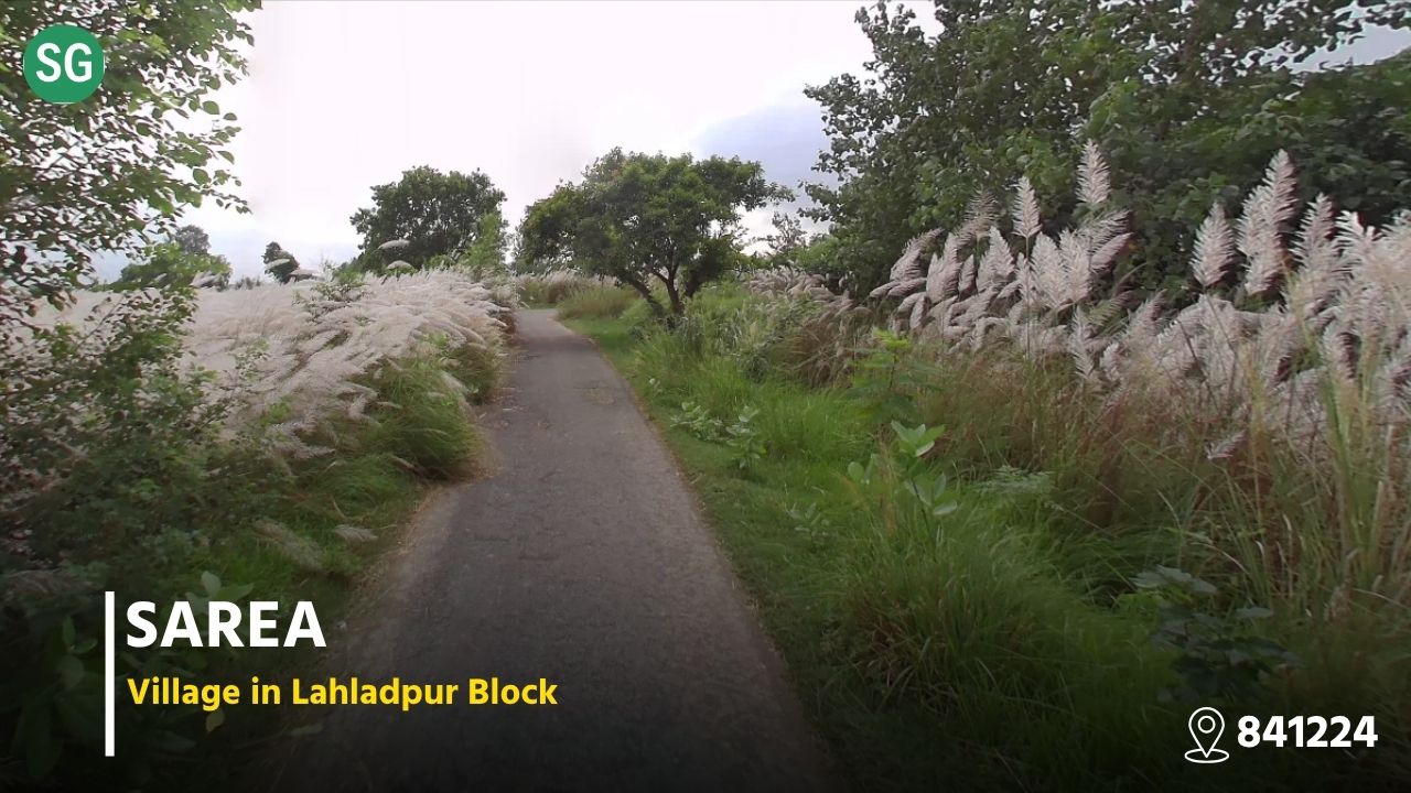 Sarea Village In Baniapur Block