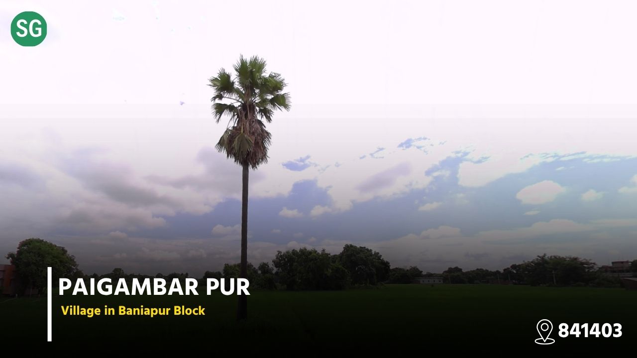 About Paigambar Pur Village ( Baniapur Block , Saran Bihar ) Pin Code 841403